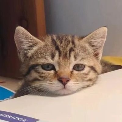 ShayanArtist's profile picture. ‌مطربا رو بر عدم زن زانک هستی ره زنست..