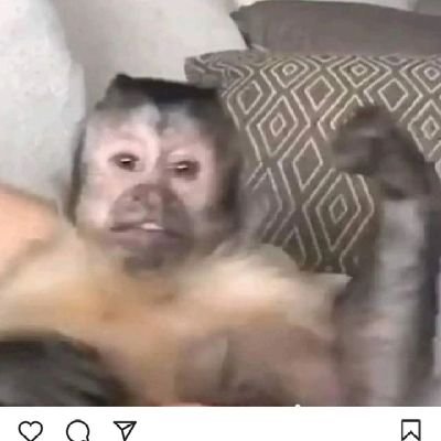 AdanUriiel's profile picture. 