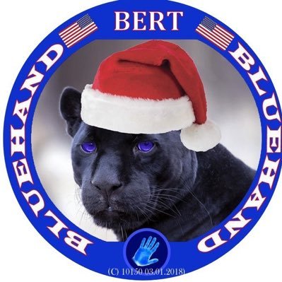 Bert7058's profile picture. MilitaryFam 🇺🇸 Some Senators WILL be primaried 11/26 Trump/Vance 🇺🇸🦅🇺🇸