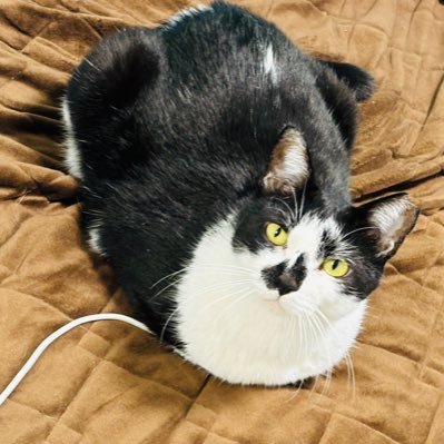 ikiru_ojisan's profile picture. 自分が主人公と思うと不幸になる  誰かを支えるように生きるといい/映画・音楽・大浴場・ラーメン大好きおじさん/皮肉や自虐や細かいところが気になるめんどくさい性格