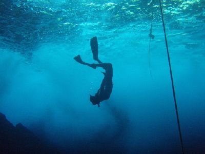 ikuaso095's profile picture. 小説家