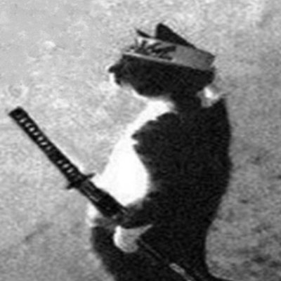 JaCatRonin's profile picture. Silence is my weapon the blade is my truth