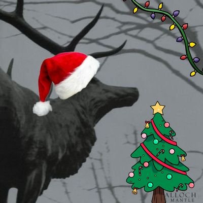 ballfartmonkey2's profile picture. 23.
Any Pronouns.
Free Palestine 🇵🇸.
Avid Socialist.
Number 1 KISS Hater.
Black Metal Enthusiast ⛧. @BlackwaterPod_
🇦🇺🇬🇷🇩🇪