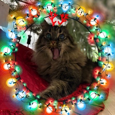 thicctheo's profile picture. 