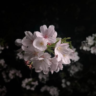 kkkkkossi's profile picture. 