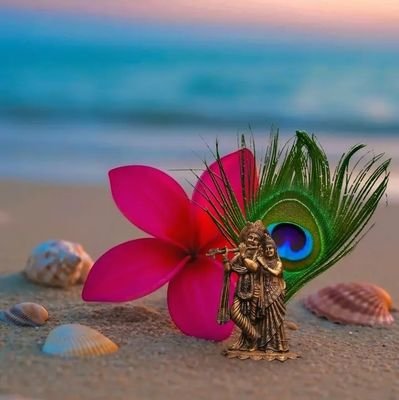 Nivaan147355's profile picture. 