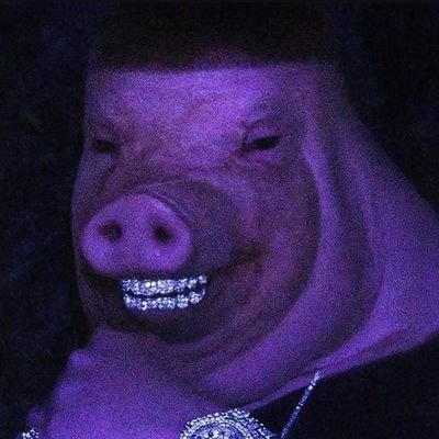 chudcelmiracle's profile picture. I'm a sensitive young man.