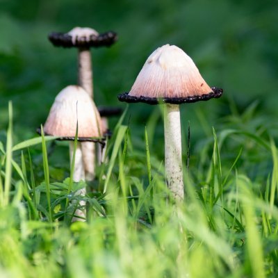 Sathyak20007193's profile picture. 推特各类账号粉丝老号，推特关键字名片排名   飞机✈  https://t.co/TvociHFxtO