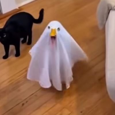 daniinpursuit's profile picture. 