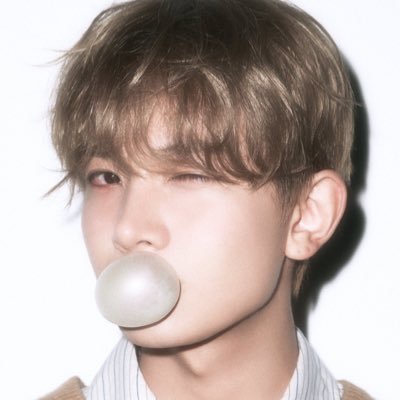 lheesoftie's profile picture. — #엔하이픈 & ##스트레이키즈 ☆ 🦌🐥☆ fan account