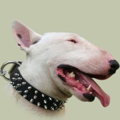 SpoiledBastards's profile picture. it’s been rough