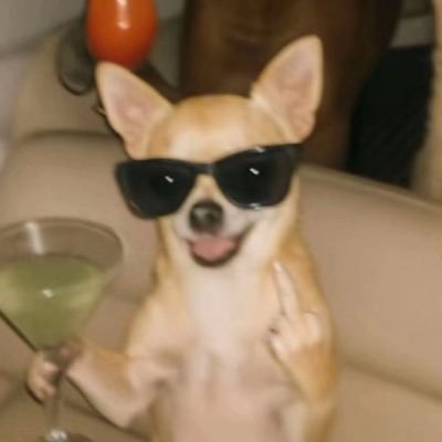 sexy_da_nyan's profile picture. 好きな言葉は割引 嫌いな言葉は送料手数料