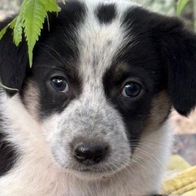 WellWisher4e's profile picture. 