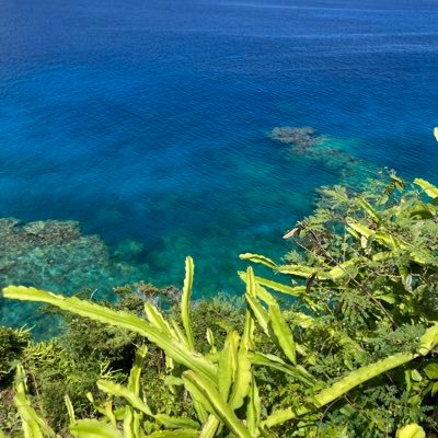 BLS79400's profile picture. 