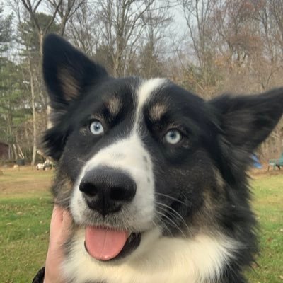 5jmx_'s profile picture. i play world of warcraft… 😬https://t.co/siYHYoUjwE 🦇