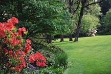 PalmHarborLands's profile picture. Design, installation & maintenance of Palm Harbor lawns & gardens.