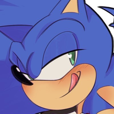 Tenderandspicy's profile picture. I sometimes draw gay hedgehogs | 20+ |🔞| minors dni | he/him | switch sonadow truther