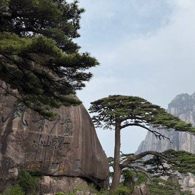 b56c4a99aad2413's profile picture. 