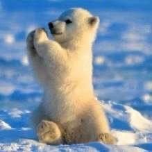 larrywang1226's profile picture. 