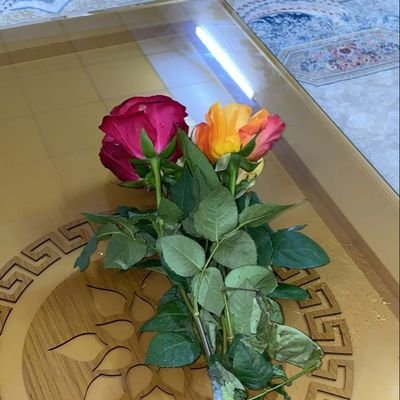 kk75974829's profile picture. الحساب مشترك مع أهلي لو سمحتوا الخاص ممنوع