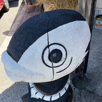 setouchi2025's profile picture. カツオのタタキが大好きなカツオ人間/迷走中/博士🎓/副業勉強中/フォロワー1000人目指します🏃‍➡️