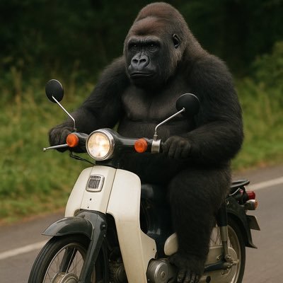 k8ai___'s profile picture. 🖤@iq326_   @HIROOMI_3JSB_