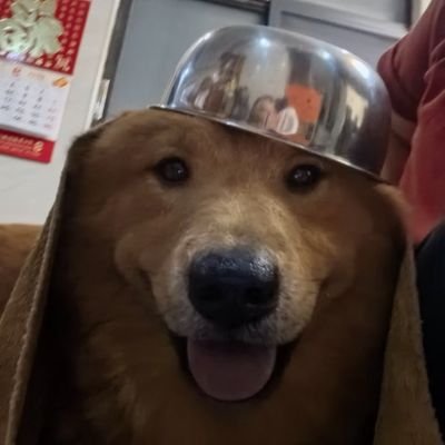 Sanityleech's profile picture. strongest night shift warrior, i love my cat and friends, i make very good garlic sauce