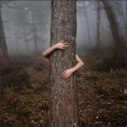 awbluiiepe46762's profile picture. 