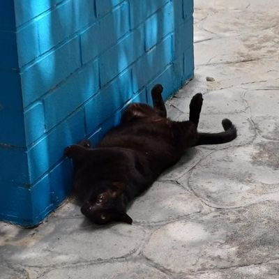 EspressobeansSG's profile picture. Just living life one espresso shot at a time.