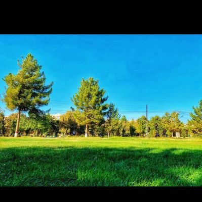 malakAsfandkhan's profile picture. B.s Mass Communication.  writer and social activist.

Problem solver. Social media fanatic. Passionate travel guru.