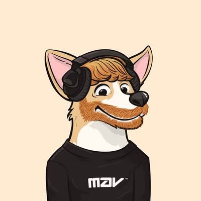 asbenf's profile picture. Just a fellow anon