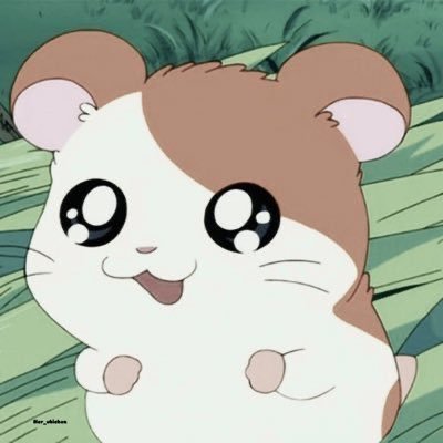 _hamstudy's profile picture. study diary 🇰🇷 | 🔜 TOPIK 1