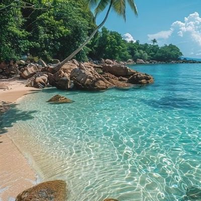 5Celestial0_'s profile picture. 