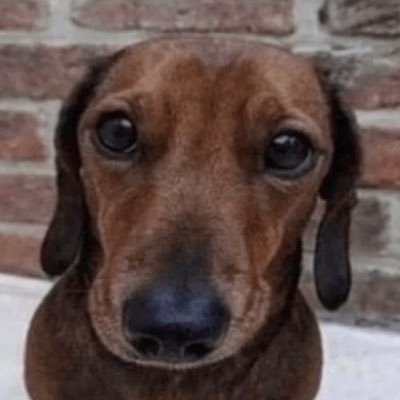 gridstream93846's profile picture. 