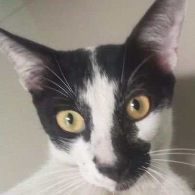 TheSkai13's profile picture. Building with @DataHaven_xyz