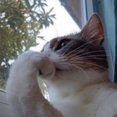 _topgunn's profile picture. anti-racism activist — do good, be good