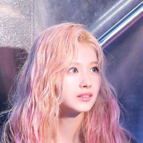 twicelovemytype's profile picture. TWICESanaペン  フォローしてください‼️