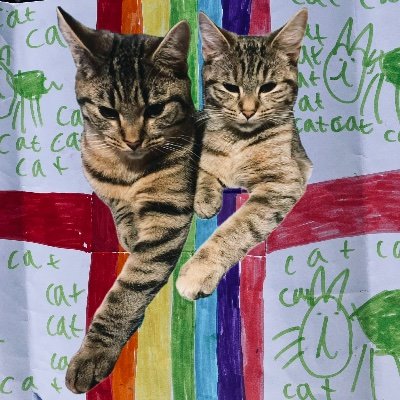 jackguestfilm's profile picture. 2 eco films to watch
🎬 A Convenient Truth: Jack Journeys https://t.co/gZ7x3PkDBK
🎬 A Green Truth aka An Inconvenient Truth 2 https://t.co/jaX3POGgtT