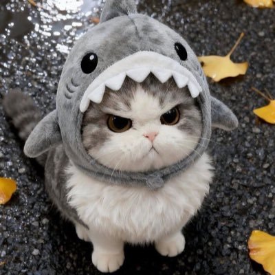 90zluvr's profile picture. 𝓶𝓪𝓲𝓷𝓵𝔂 𝓯𝓸𝓻 #BTS #SVT #TWICE #AHOF #NETJJ || 𝕞𝕦𝕝𝕥𝕚 𝕤𝕥𝕒𝕟 || saw Twice 09-30-23 || saw JL 02-16-25 | saw J-hope 04-13-25 || saw AHOF 08-30-25 ✨🥹