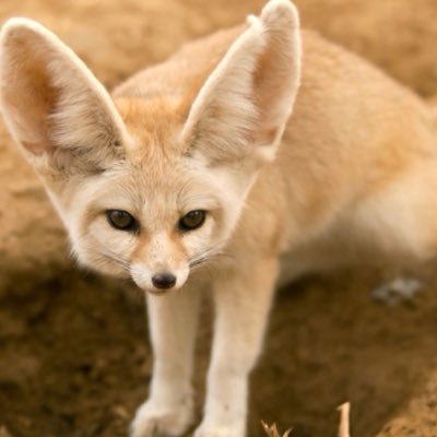 takatology's profile picture. 