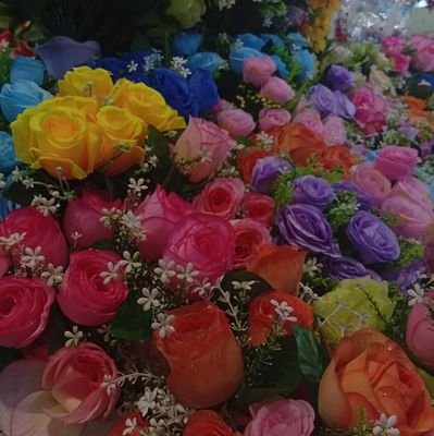 WRphi55973's profile picture. 