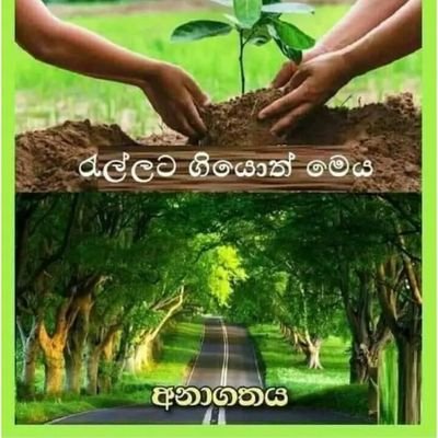 GamageNavoda's profile picture. 