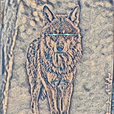 AKR4LF's profile picture. GooberOfNorth
🇺🇲Kian Lynch🇮🇪
Alaska is my Home&Nature is my peace. Seeking the truth for the future of not only mine, but all our kids.
-Semper Fidelis-