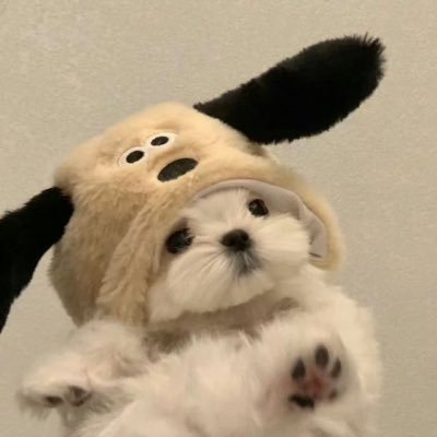 popcandy______'s profile picture. 𝑺𝑻𝑨𝑹𝑻𝑶 𝑬𝑵𝑻𝑬𝑹𝑻𝑨𝑰𝑵𝑴𝑬𝑵𝑻⟡.·