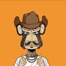 0xturf's profile picture. Pure Degen