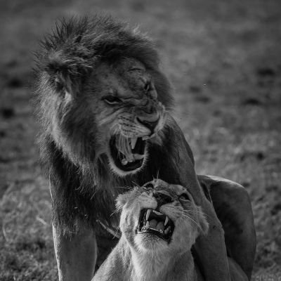 urs09_'s profile picture. 