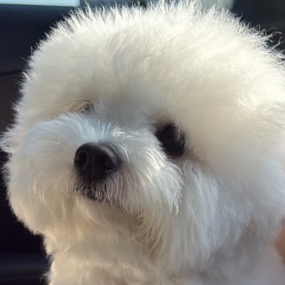 bbussbas's profile picture. พักผ่อนงับ