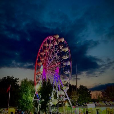 Piedradesing's profile picture. Bir Kolpacin Günlüğü