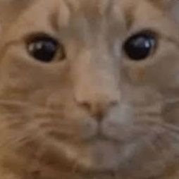 sweeetieeeeee's profile picture. soliloquising (here for the dopamine)

order sweet treats from @sweeetiestreats🧁