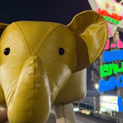 onkirigyakuun's profile picture. 